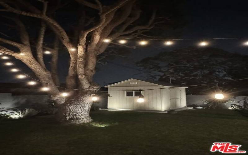 Backyard Lighting