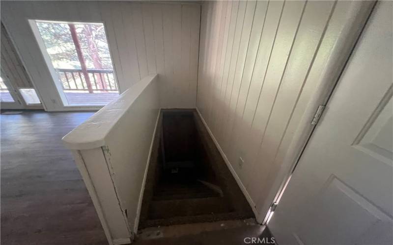 Stairs to bonus basement, storage area.