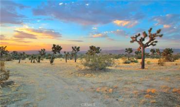 0 Forrest Drive, Yucca Valley, California 92284, ,Land,Buy,0 Forrest Drive,JT24144845