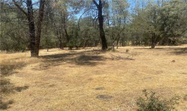 0 Lemon Hill Drive, Oroville, California 95966, ,Land,Buy,0 Lemon Hill Drive,SN24145353