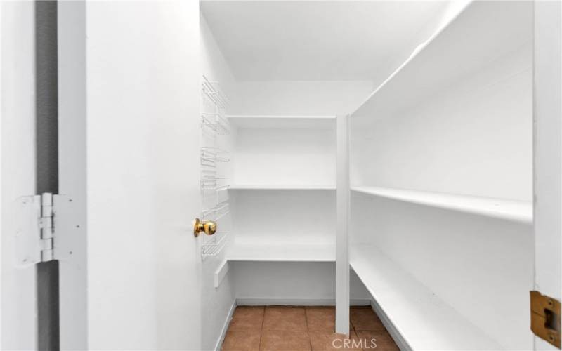 Spacious pantry in kitchen.