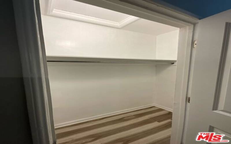 Walk-In Closet in Hallway