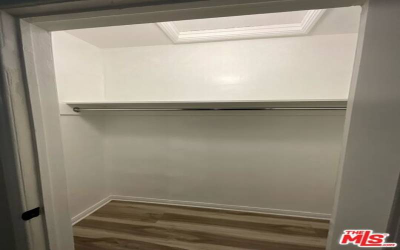 Walk-In Closet in Hallway