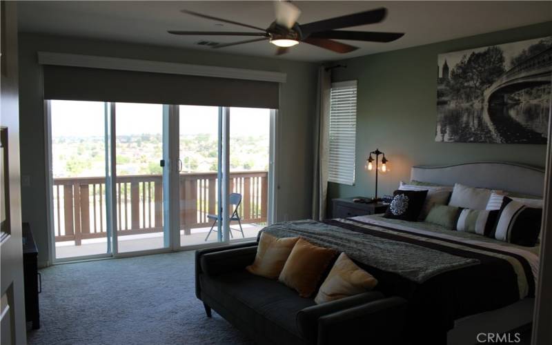 Master bedroom with view