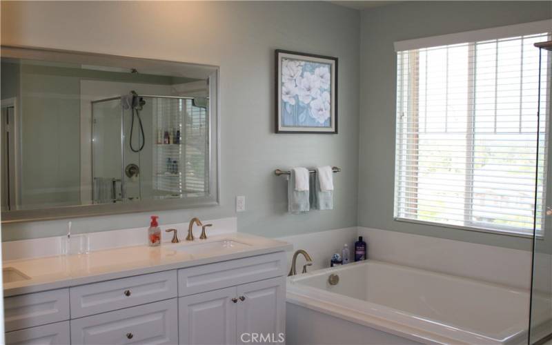 Duel master bath sinks, soaking tub, and shower with view