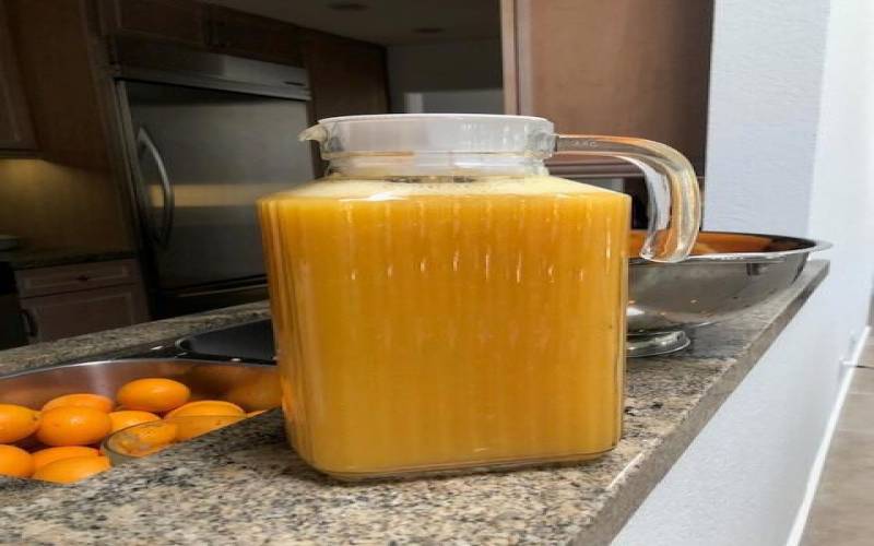 Fresh Squeezed Orange Juice