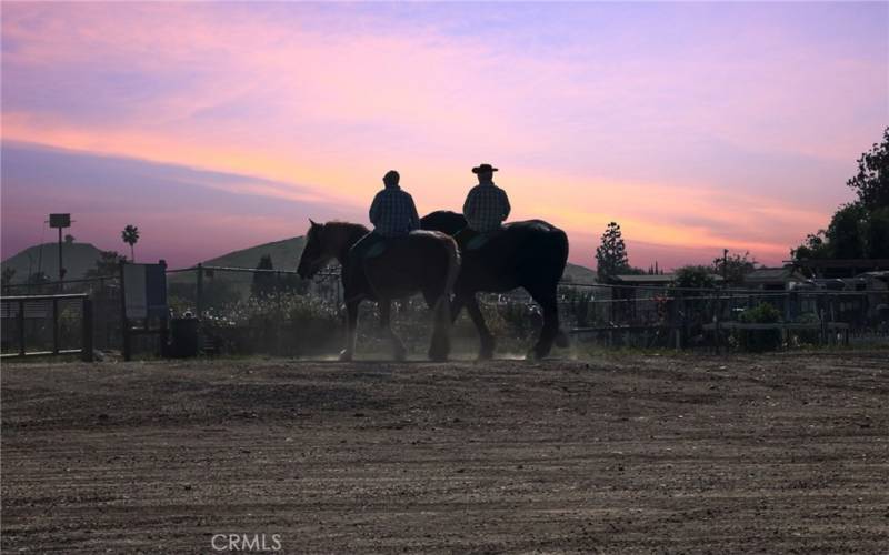 Equestrian Center