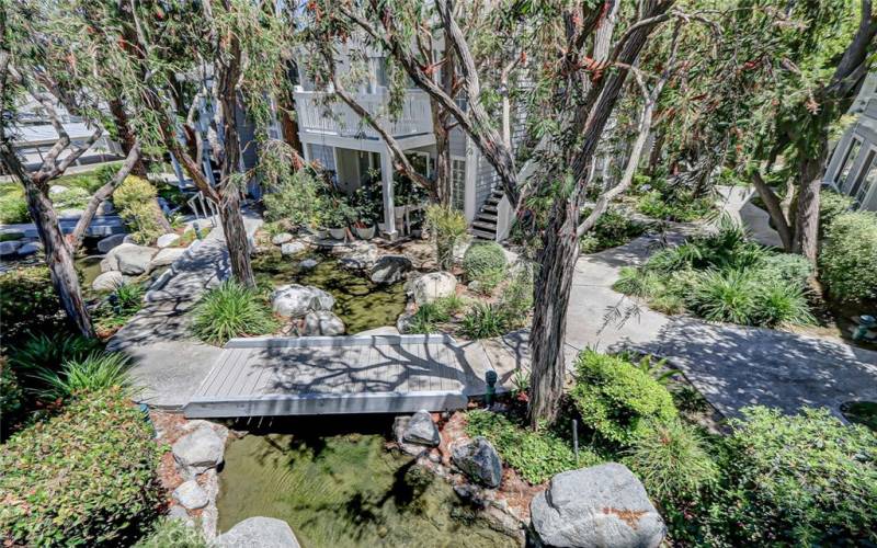 Breathtaking view of tall pines and streams from the deck