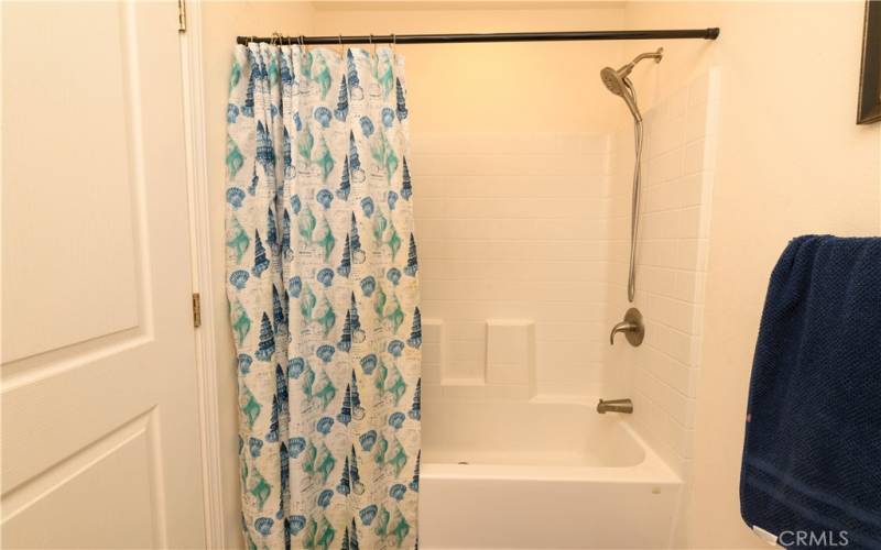 Main Bath Shower