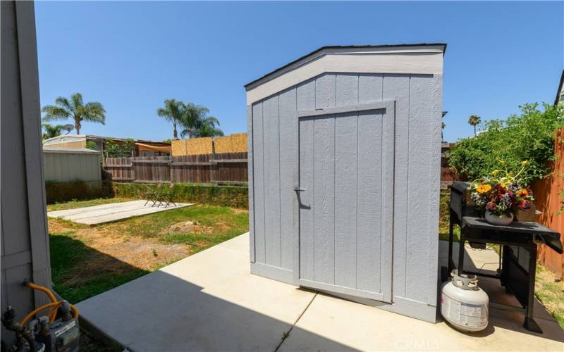 Shed in Back Yard