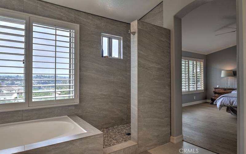 Luxurious Bath & walk-in Shower in Master Bathroom