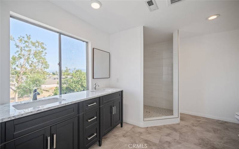 Main suite bath vanity, shower