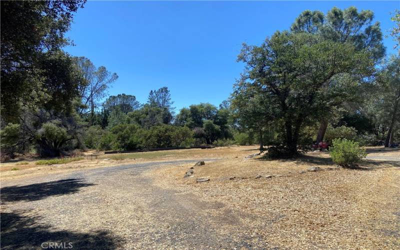 Usable parcel with mature trees and gravel driveway.