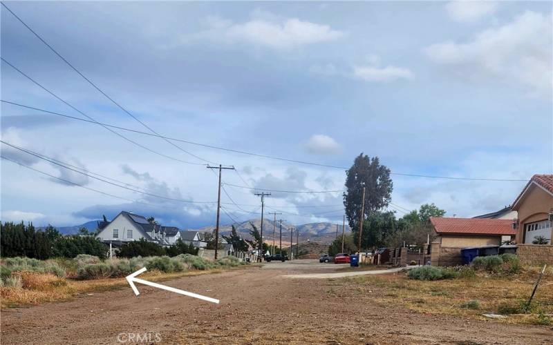 Street view of Subject Property. Established Neighborhood.