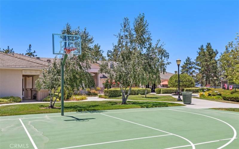 Basketball Court