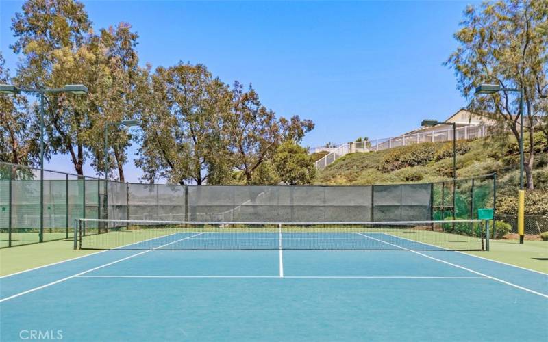 Pickleball court