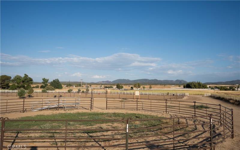 THE EQUESTRIAN CENTER