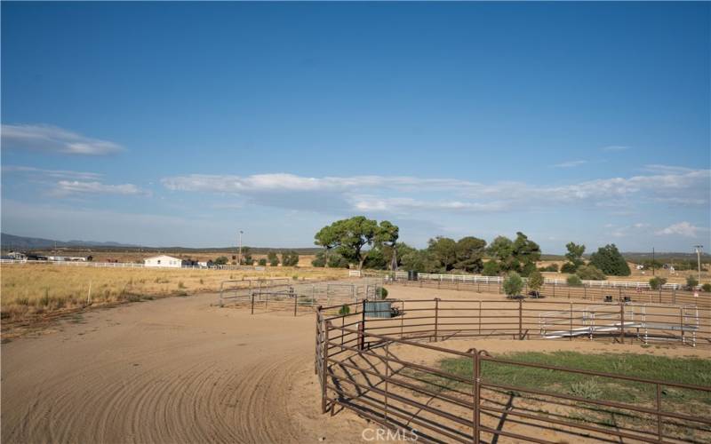 THE EQUESTRIAN CENTER