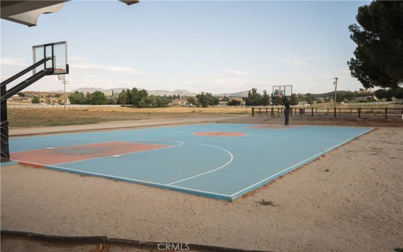 BASKETBALL COURT