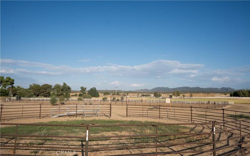 THE EQUESTRIAN CENTER