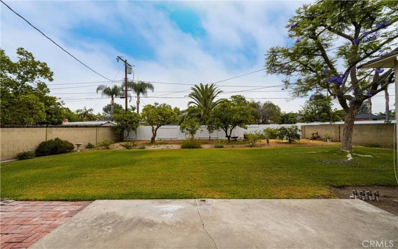 Yard from the living room sliding door