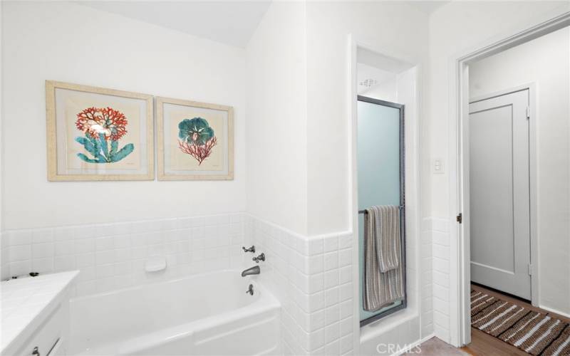 Large bathroom with tub and walk-in shower