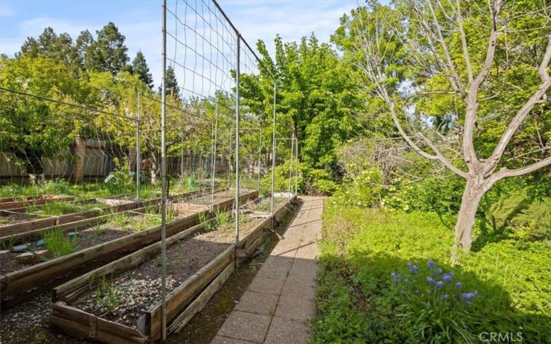 Backyard garden area