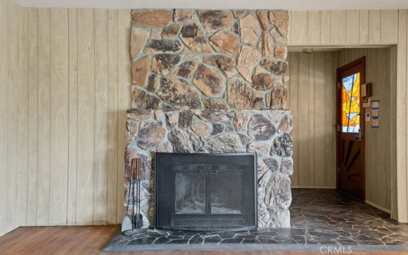 Wood burning fireplace and entry door