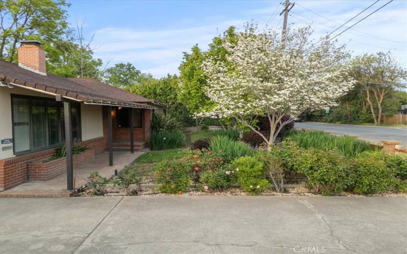 Driveway and front yard