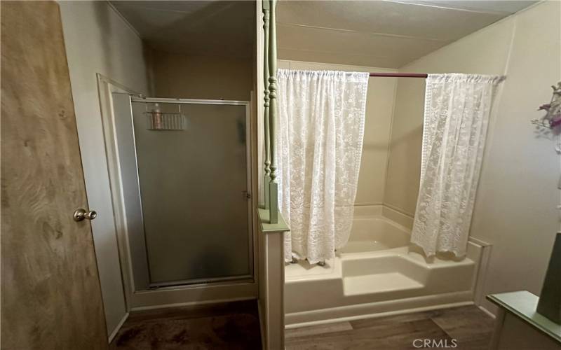 Master bath separate shower and tub