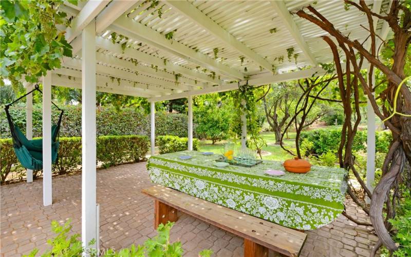 Charming shaded grape arbor perfect for outdoor entertaining