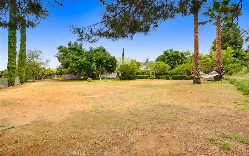 Expansive Back yard