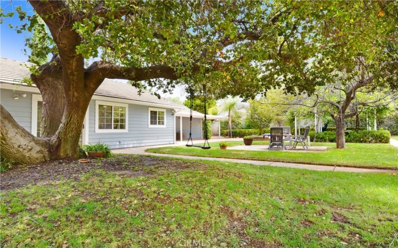 Magnificent Oak Tree provides shade and character, and a great place for a tree swing