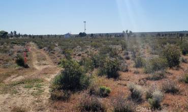 0 Vac/Vic Pb Hwy/184 Ste, Black Butte, California 93591, ,Land,Buy,0 Vac/Vic Pb Hwy/184 Ste,SR23189466