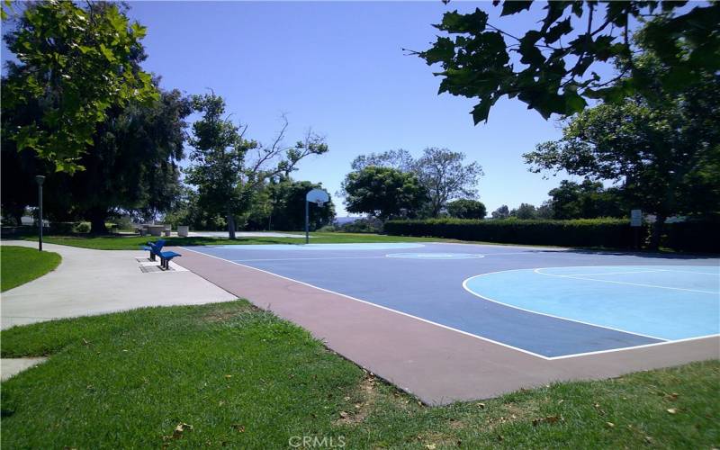 Neighborhood park basketball court.