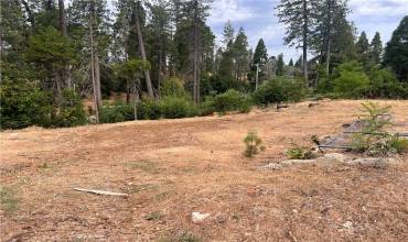 1770 Forest Glen Road, Paradise, California 95969, ,Land,Buy,1770 Forest Glen Road,SN24147442