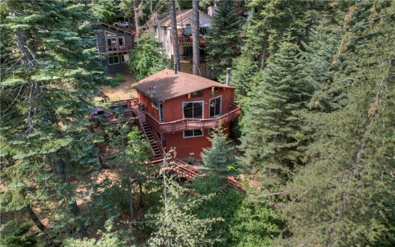 Sweet little cabin tucked into the trees