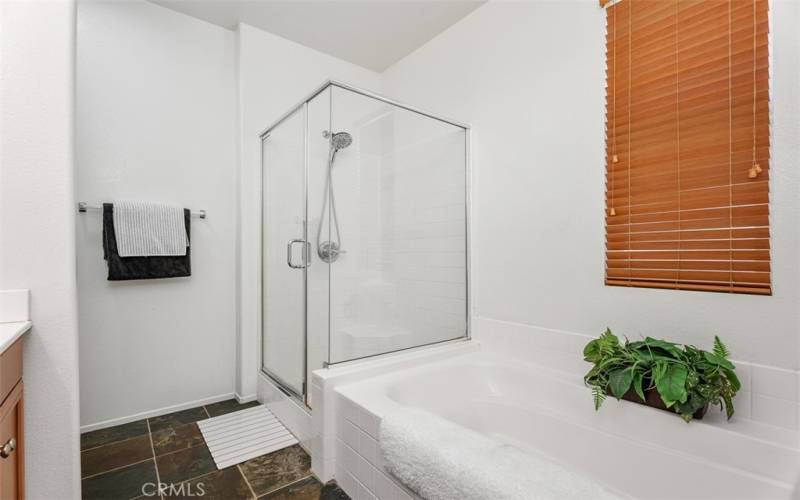 Primary bath w/tub & separate walk-in shower