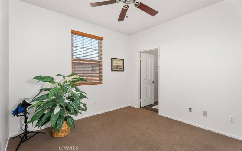 Lots of natural light in secondary bedroom.