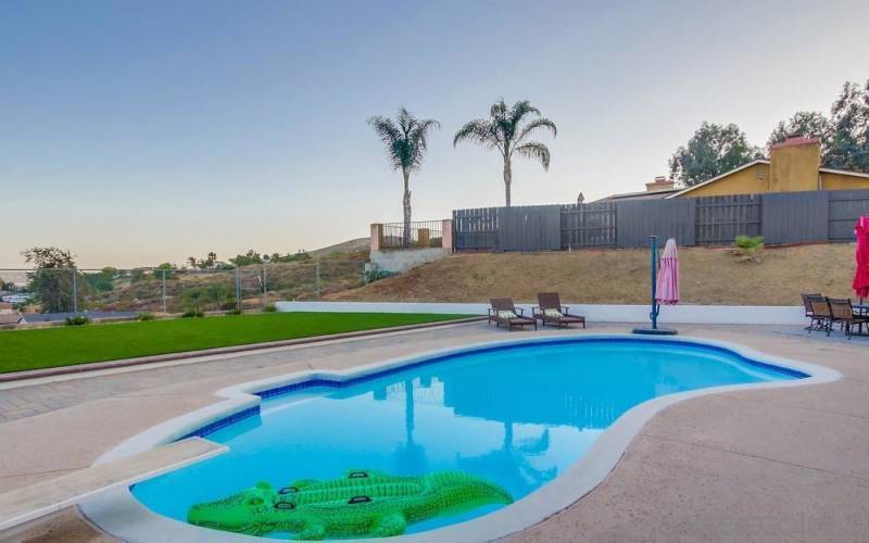 Pool in a backyard oasis.