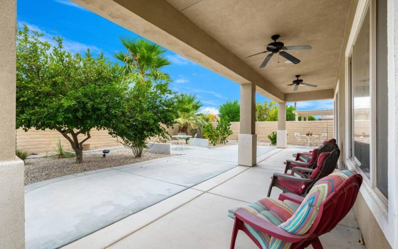 Back yard / covered patio