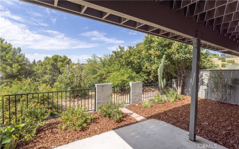 Rear Patio Garden