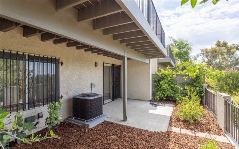 Rear patio Garden