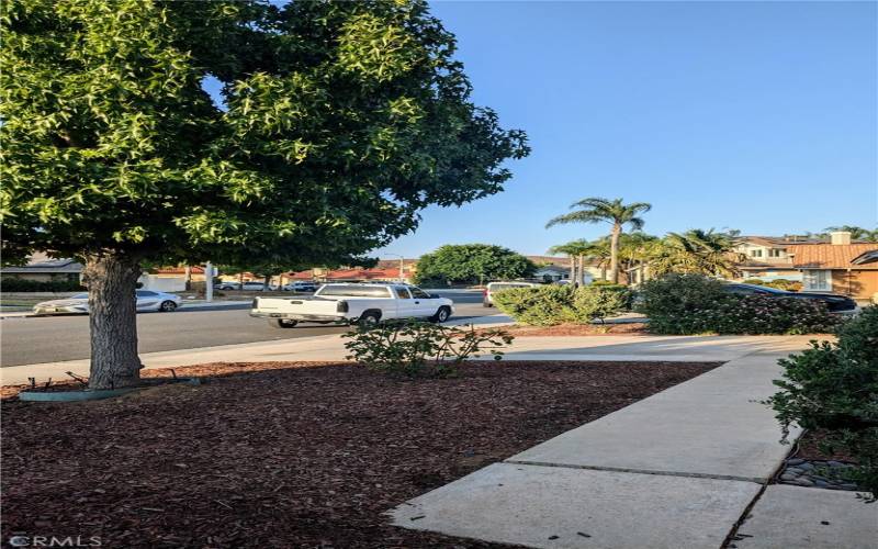 View of neighborhood from front yard.