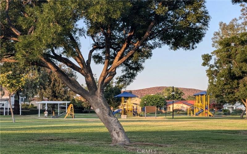 HOA includes family park with playground equipment & picnic tables.