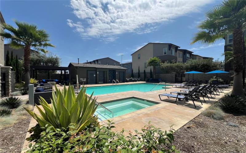 Pool & jacuzzi area