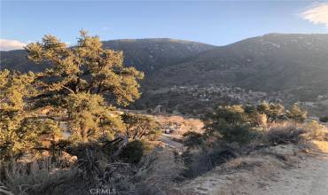 1 San Fernando Trail, Frazier Park, California 93225, ,Land,Buy,1 San Fernando Trail,MB24145396