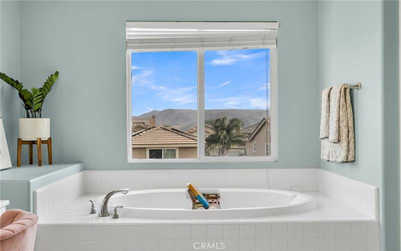 primary tub with a view