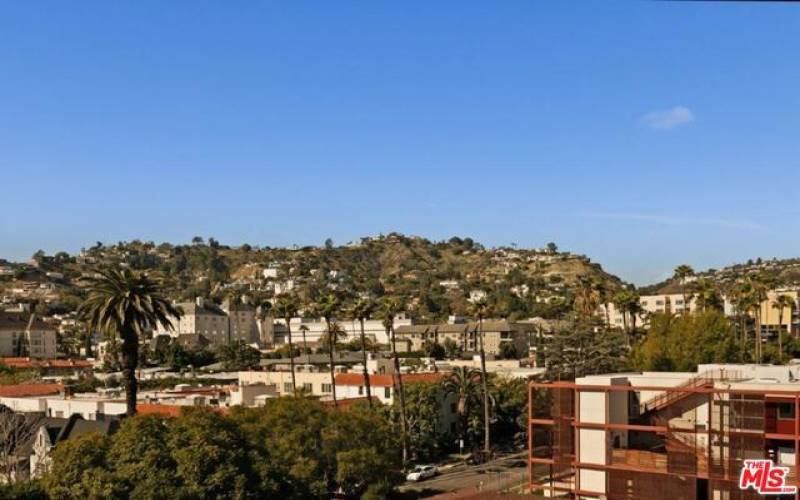 Hollywood Hills