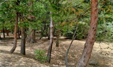 27513 Meadow Bay Drive, Lake Arrowhead, California 92352, ,Land,Buy,27513 Meadow Bay Drive,RW24148176